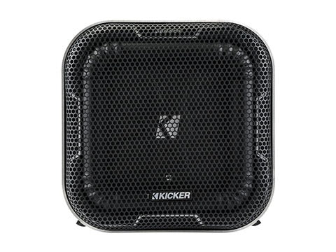L7 QB8 2Ω Loaded Enclosure